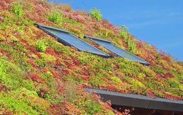 Willand living roof systems